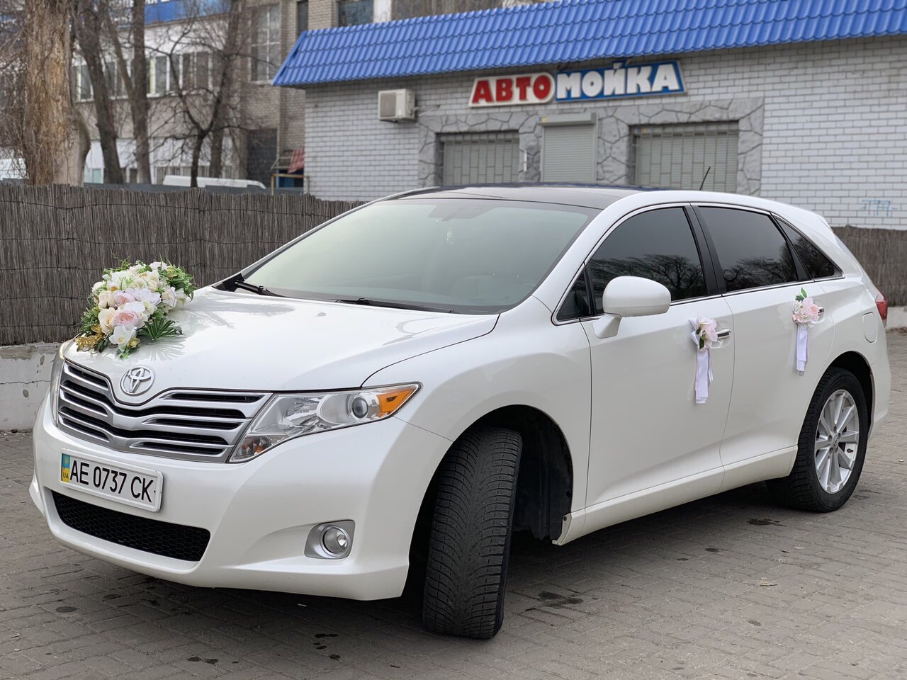 Toyota Venzo бел. 300 грн/час